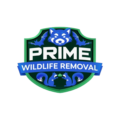 Wildlife Removal Franklin County